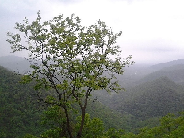 पद्मपुरम बॉटनिकल गार्डन