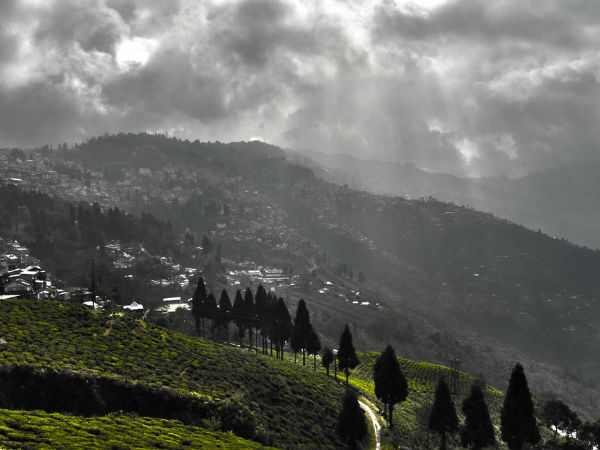 दार्जलिंग घूमे