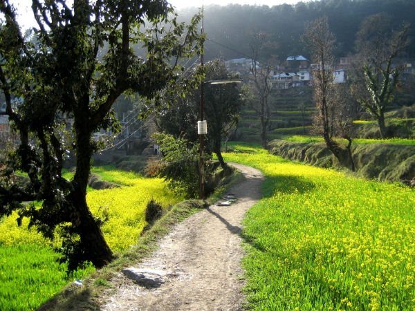 धर्मकोट