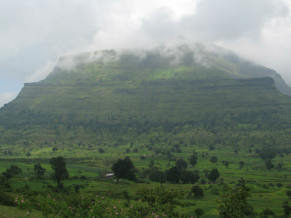 डॉन हिल्स