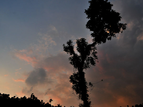 डूअर्स