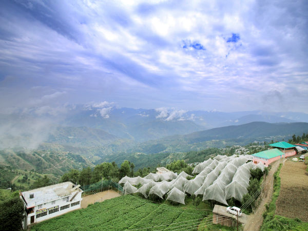 फागू