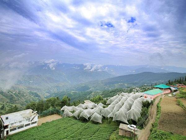 फागू