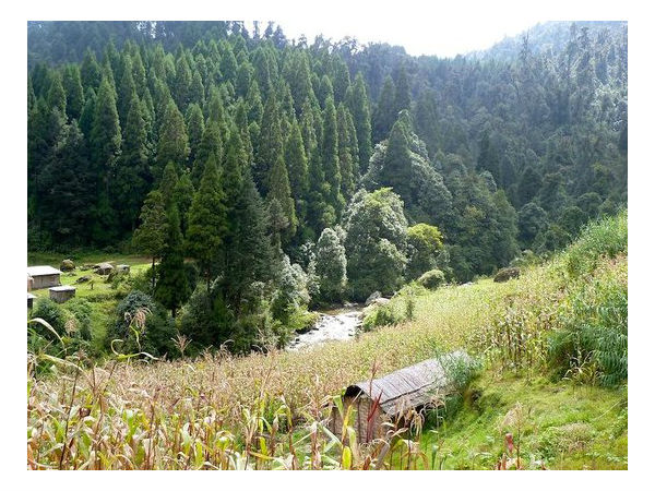 पर्यटकों का बांहे खोलकर करते हैं स्वागत