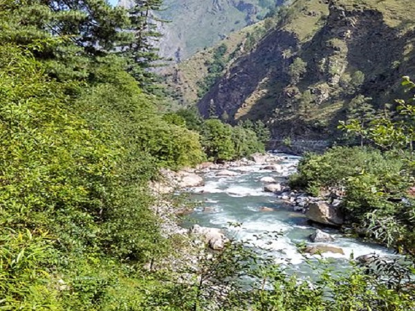 गुशैणी