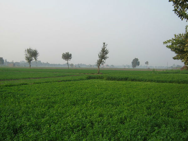 हरियाणा की कला-संस्कृति