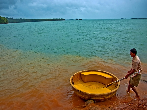 होंनेमर्दू (Honnemarau)
