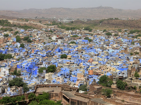 जोधपुर
