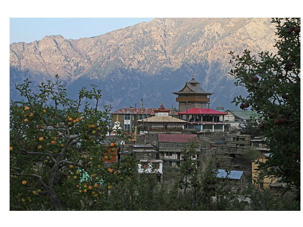 कल्प