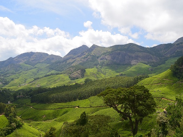 चारालकुन्ना