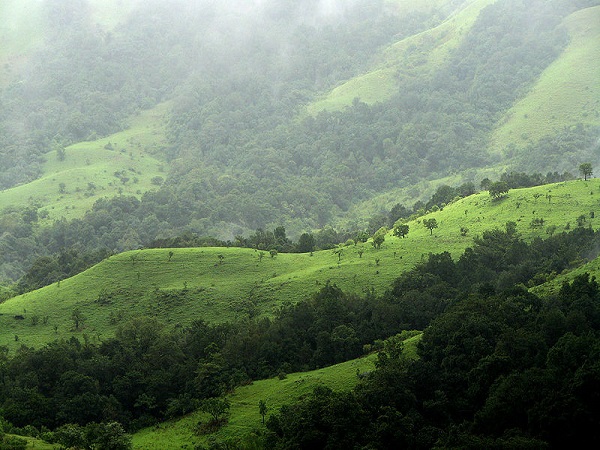 कुद्रेमुख