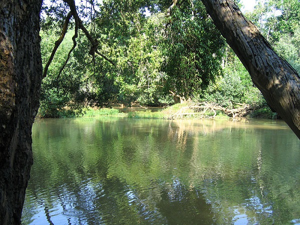 कुरुवा द्वीप
