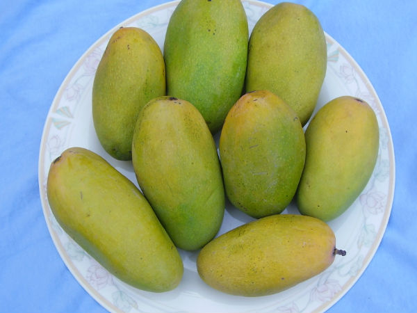 लखनऊ