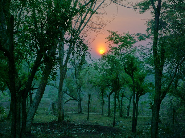 मसिनागुड़ी की सैर