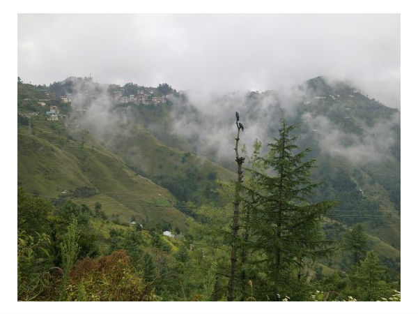 मतियाना