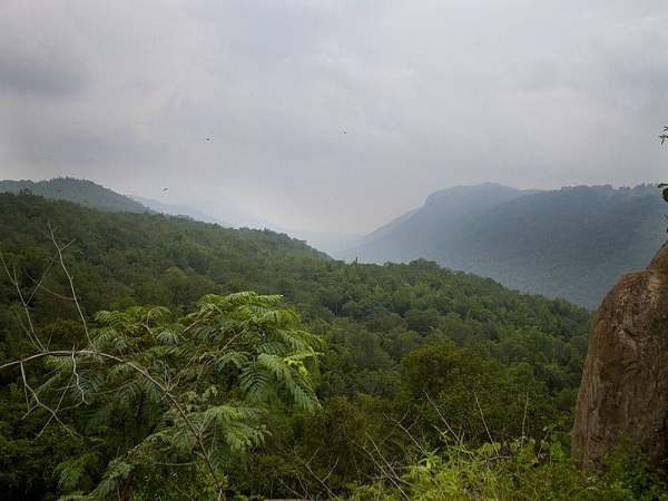 मेलागिरी हिल्स