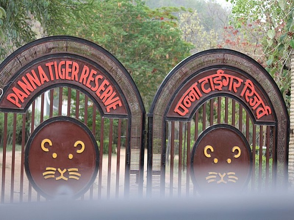 पन्ना राष्ट्रीय उद्यान