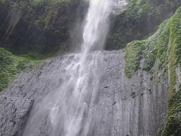 काकोलाट वाटरफॉल