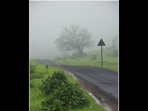 विल्सन पहाड़ी