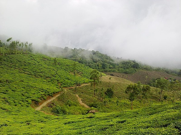 चेम्बरा पीक