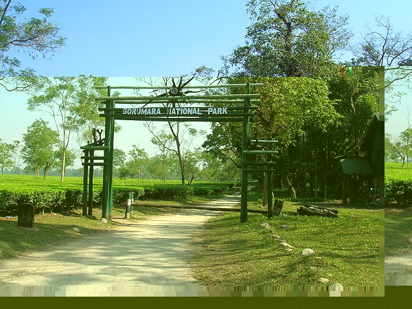 गोरुमारा राष्ट्रीय उद्यान