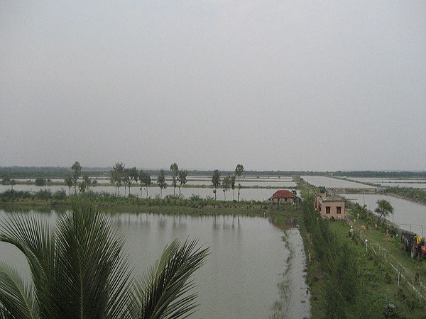 हेनरी द्वीप