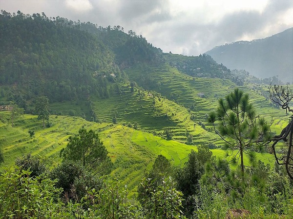 कौसानी