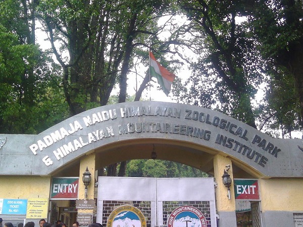 पद्मजा नायडू हिमालयन जूलॉजिकल पार्क