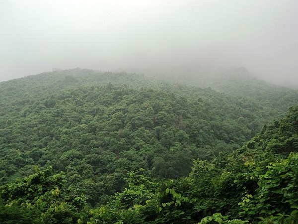 पारसनाथ हिल्स