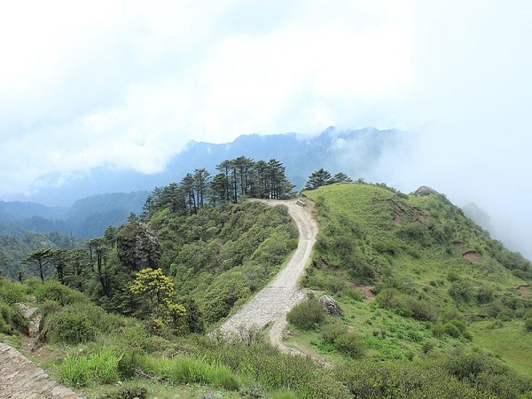 संदकफू के लिए ट्रेक