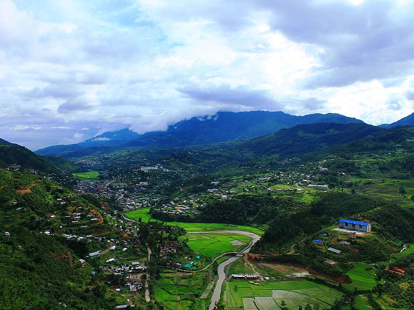 माओ