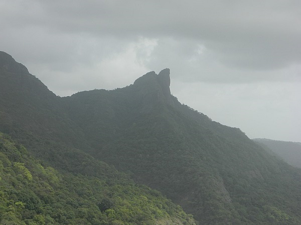 टाइगर लीप