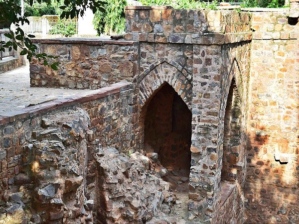 भाई की बावली