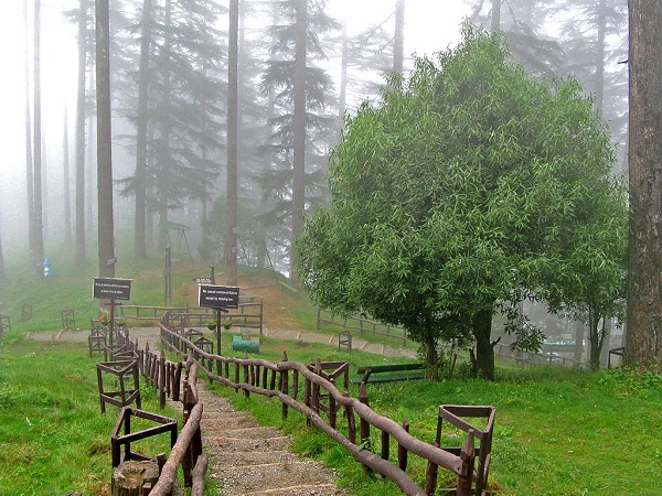 इको पार्क