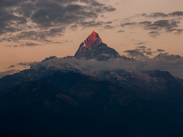 कैसे करें प्रवेश