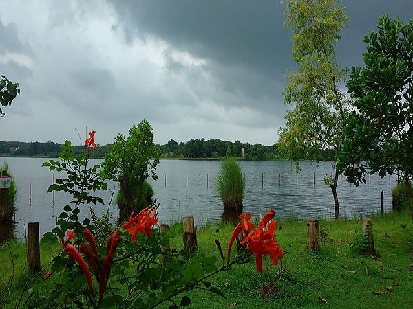 कोलाड