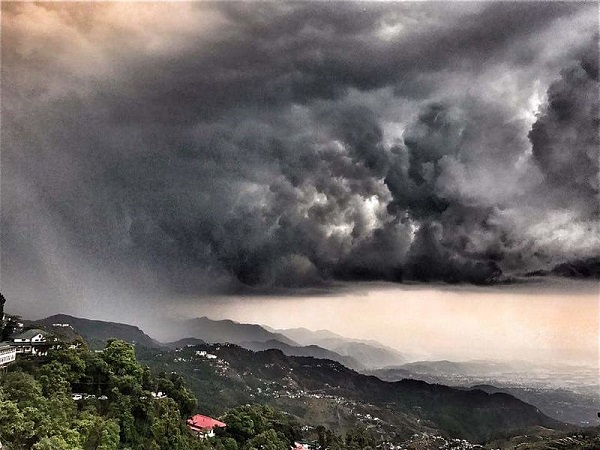 कलाकारों की पसंद