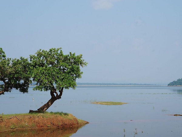 वारंगल की झीलें