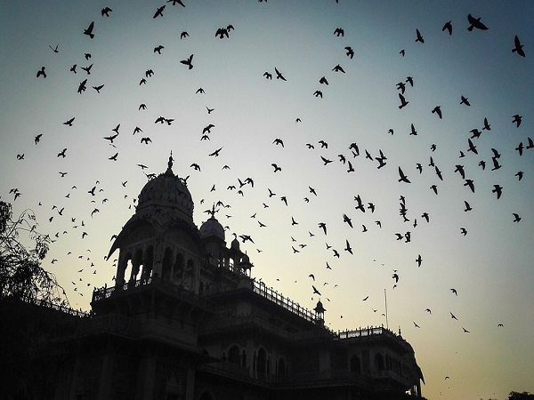 कैसे करें प्रवेश