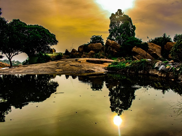 तुराहल्ली जंगल
