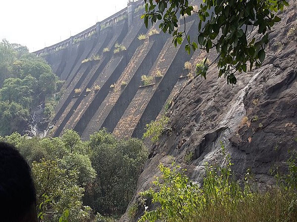 विल्सन बांध