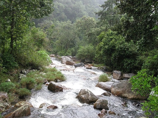 चिन्ना कल्लर जलप्रपात