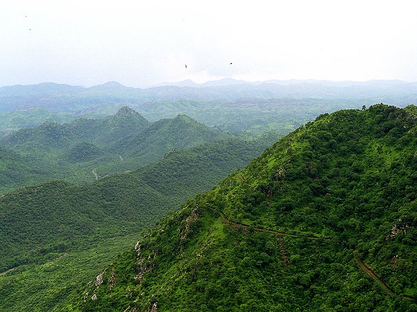अरावली पहाड़ियां बन जाती हैं हरा स्वर्ग