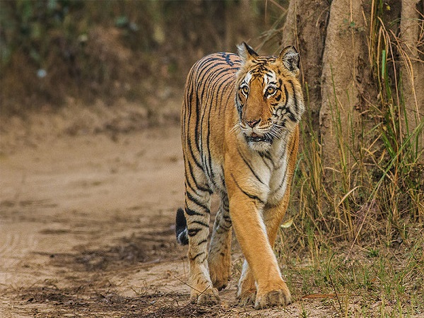 देश सबसे पुराना राष्ट्रीय उद्यान