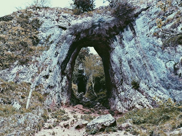 योगी कोल्ला