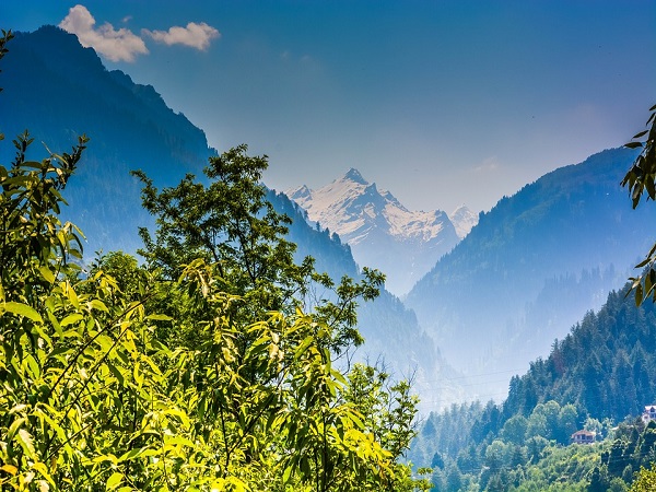 कैसे करें प्रवेश
