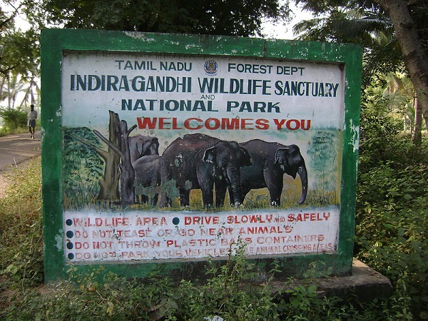इंदिरा गांधी वन्यजीव अभयारण्य