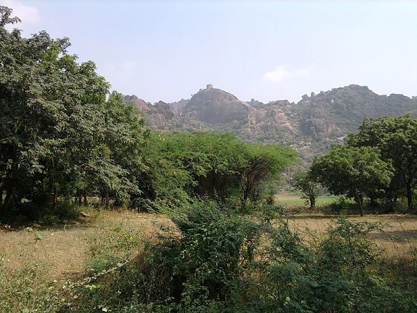 एडवेंचर के लिए खास विकल्प