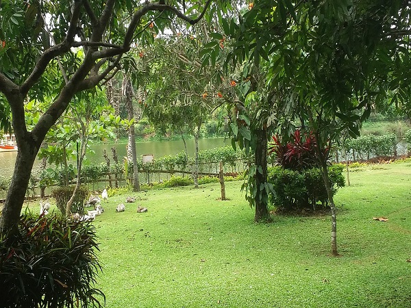 वनस्पति भंडार