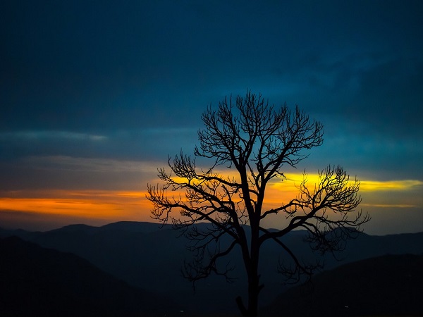 जव्हार